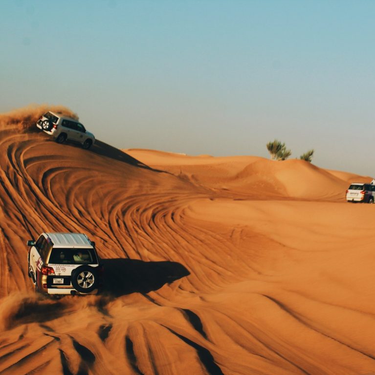 The Ultimate Guide to Desert Safaris in Dubai: What to Expect and How to Choose the Right One