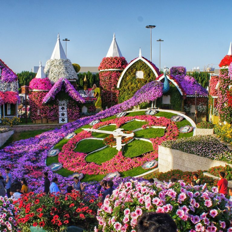 Exploring Nature’s Masterpiece: Dubai’s Enchanting Miracle Garden Tour